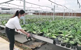 温室开不出的花 哔哩哔哩 Bilibili 温室开不出的花 哔哩哔哩 Bilibili