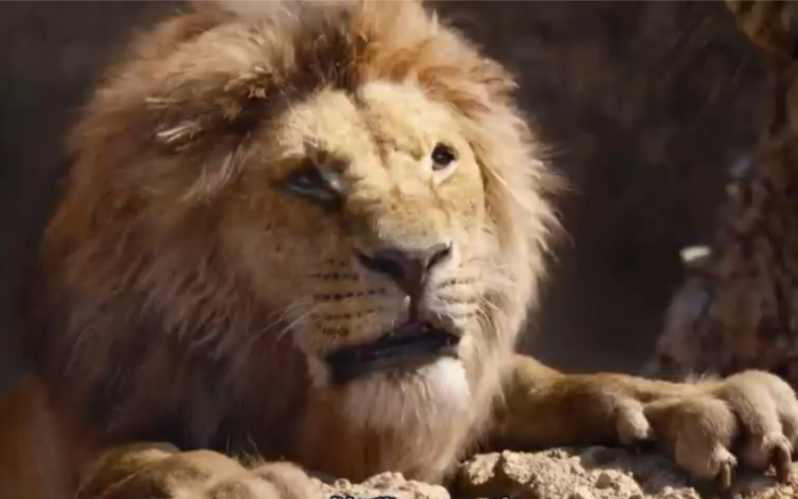 木法沙才是我心目中的狮子王!