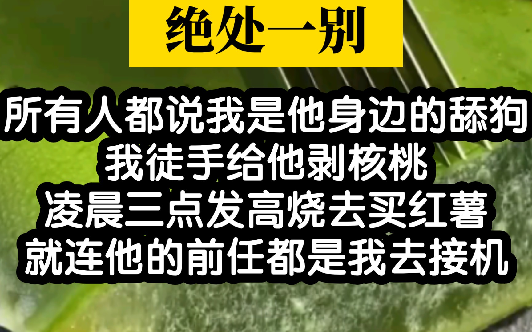 【小说推荐】你们见过的舔狗能舔到哪种程度?哔哩哔哩bilibili