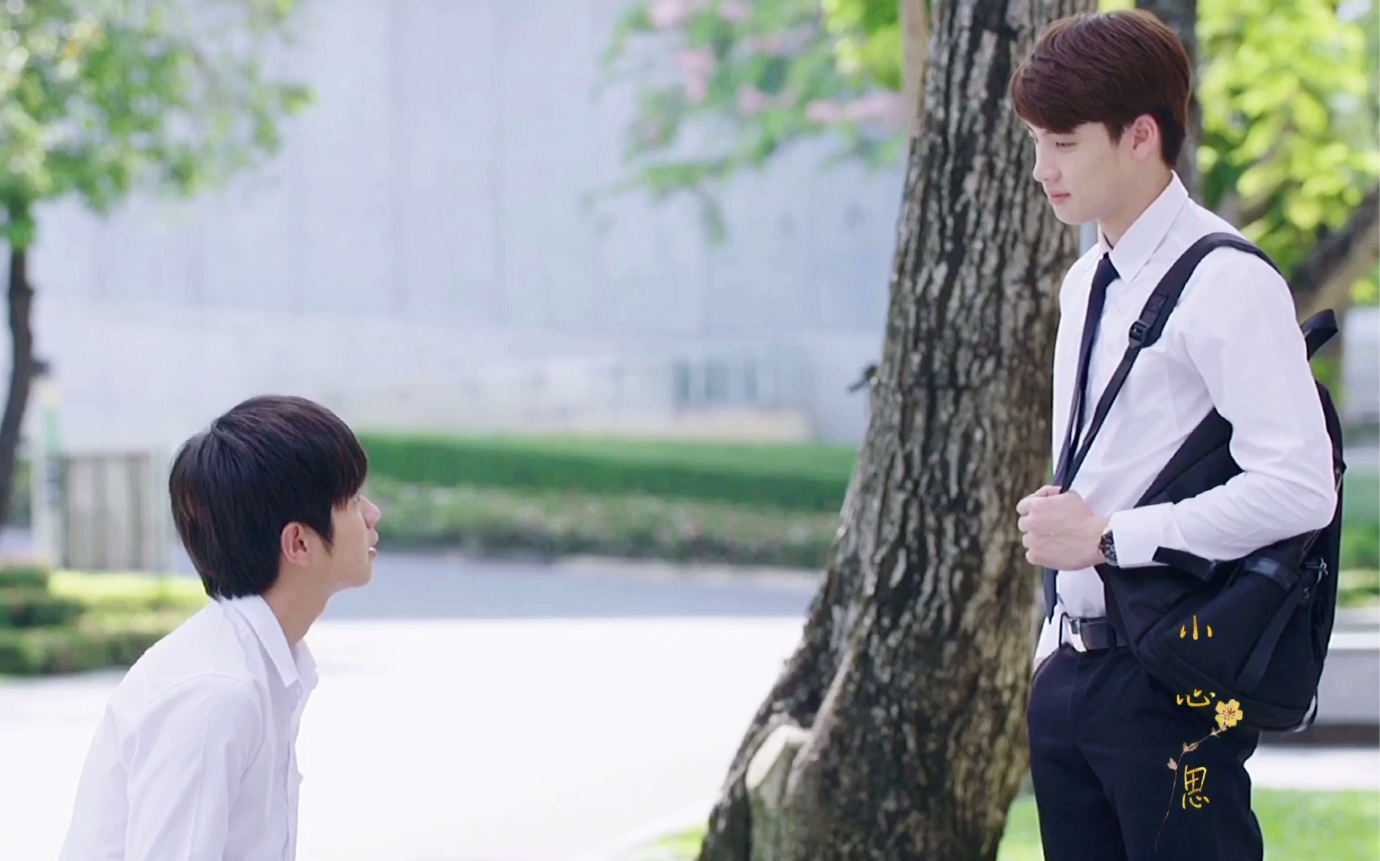 【meanplan/tincan】你的出现,不是闯入,是降临(bgm清醒梦灵感向)