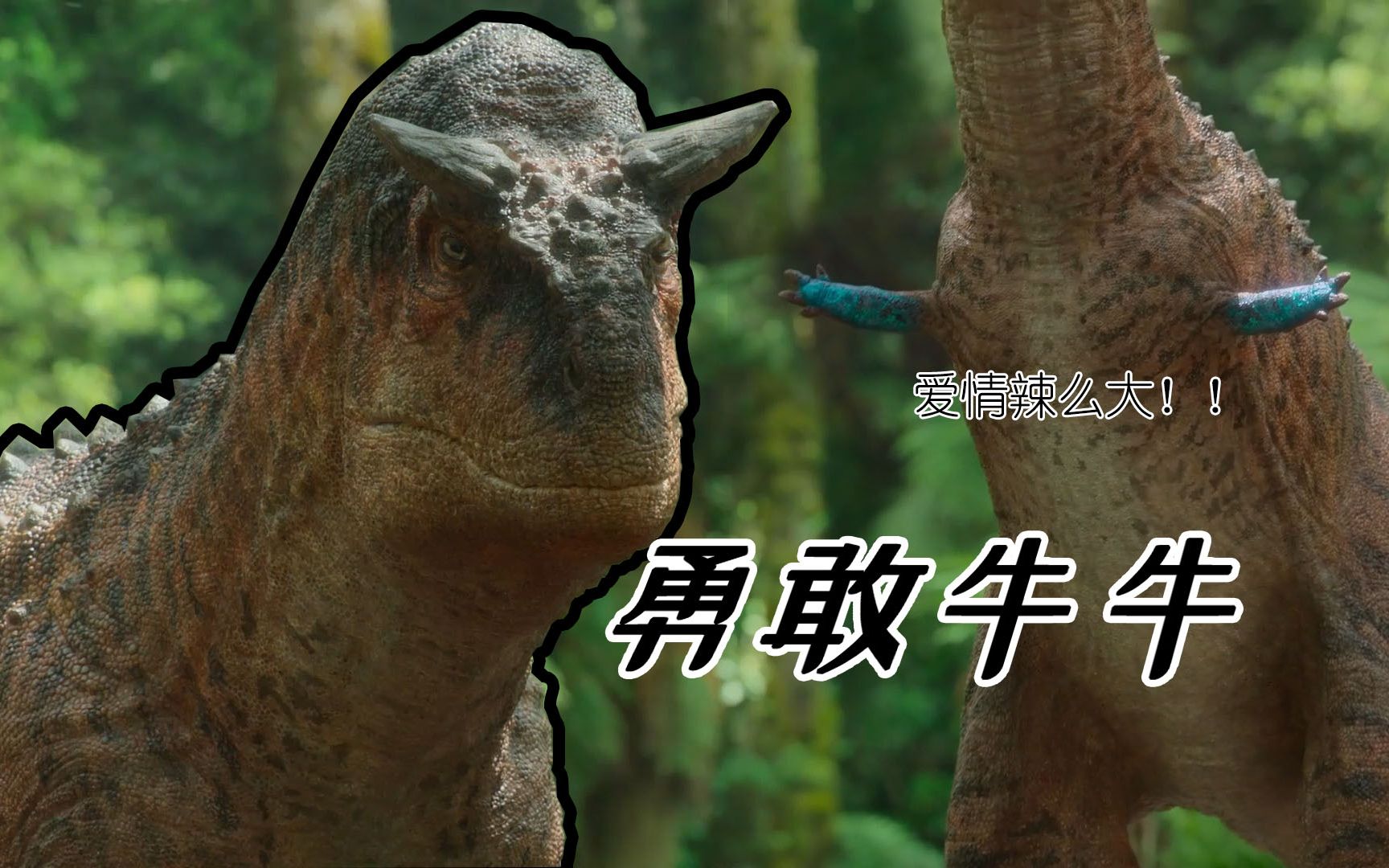 勇敢牛牛在线求偶