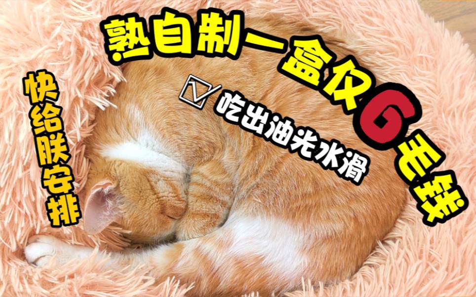 [图]思家熟自制-贫民窟猫猫也能吃得起的主食罐～