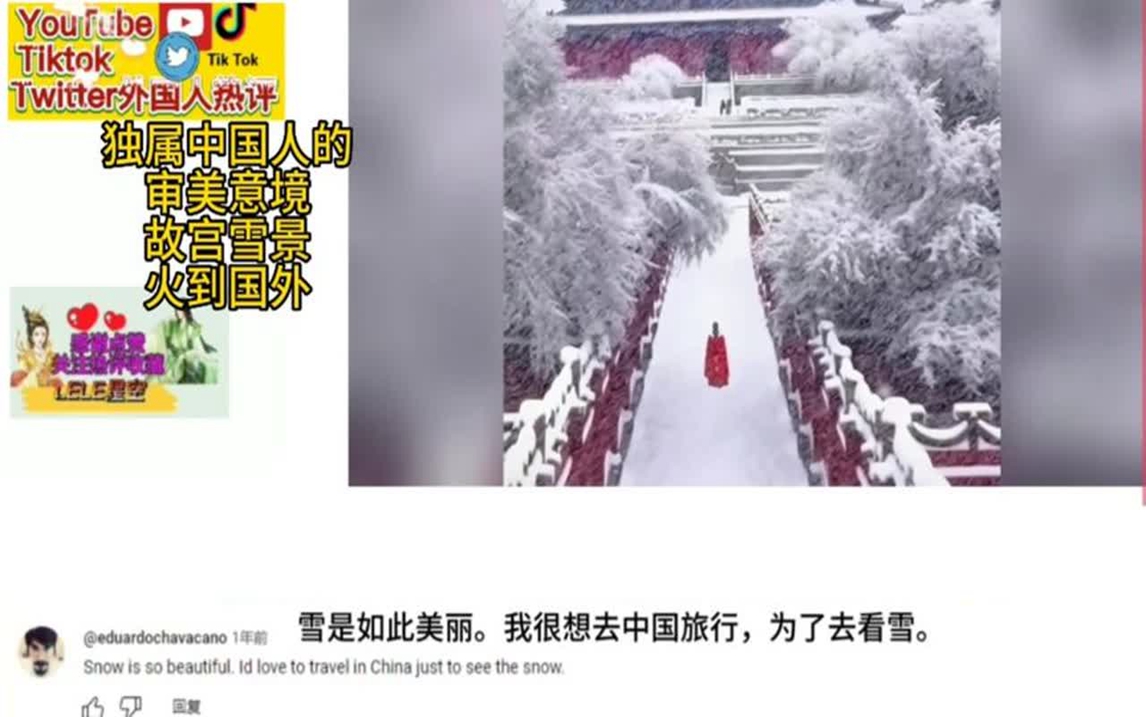 YouTube热评独属中国人的审美意境:故宫雪景,老外看后惊艳狂赞哔哩哔哩bilibili