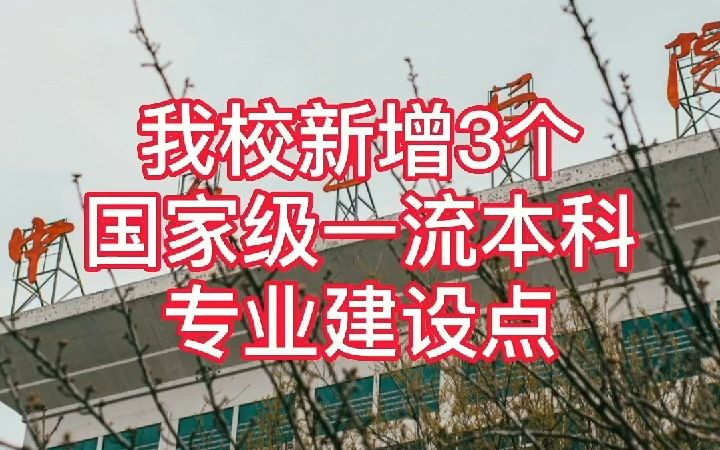 热烈庆祝!我校新增3个国家级一流本科专业建设点!哔哩哔哩bilibili