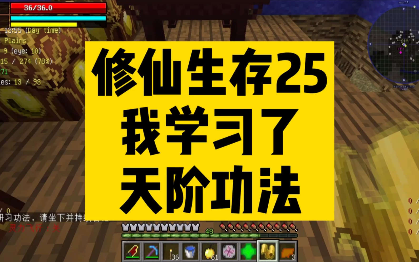 叶枫我的世界修仙生存