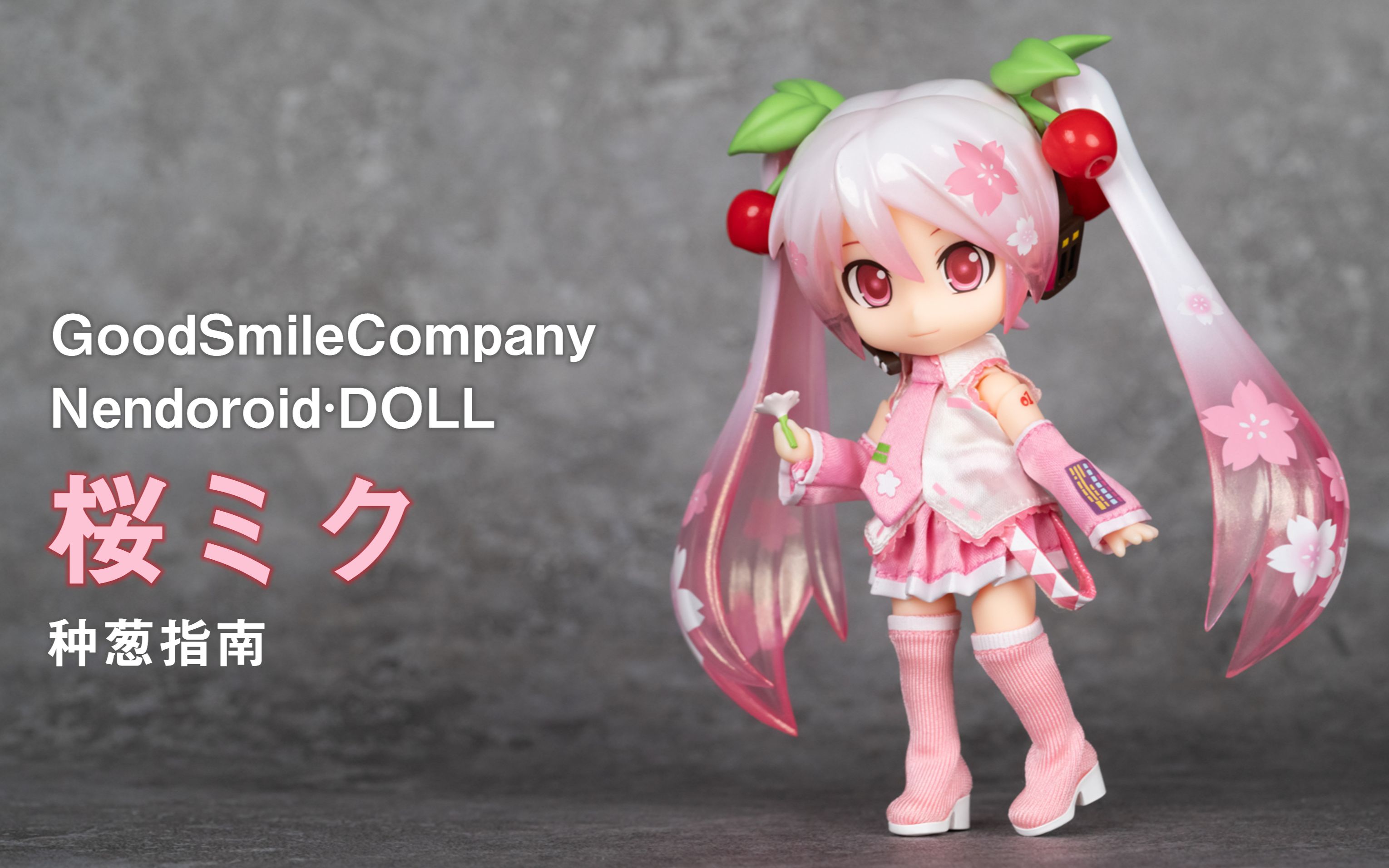 【种葱指南】gsc 粘土娃 樱未来_哔哩哔哩_bilibili