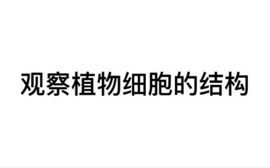 [图]中考实验演示 观察植物细胞的结构