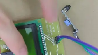 宠物投喂系统
