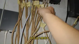过来修个网络，老板就变成了我粉丝