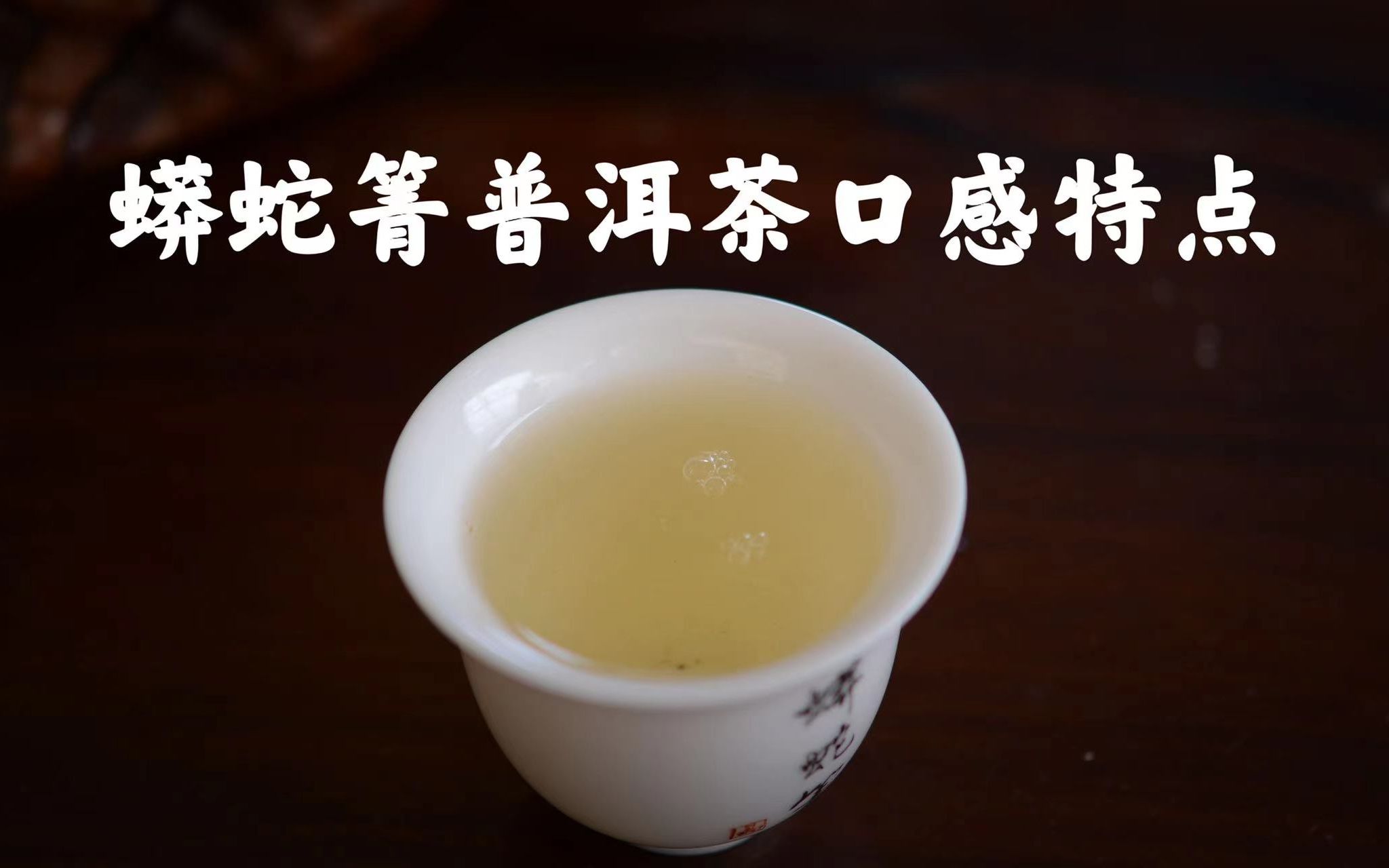 2023春茶蟒蛇箐古树普洱茶春茶的口感怎么样?哔哩哔哩bilibili