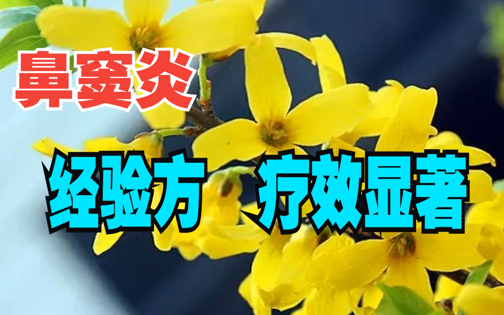 川芎茶调散加减方治疗鼻窦炎,疗效显著.哔哩哔哩bilibili