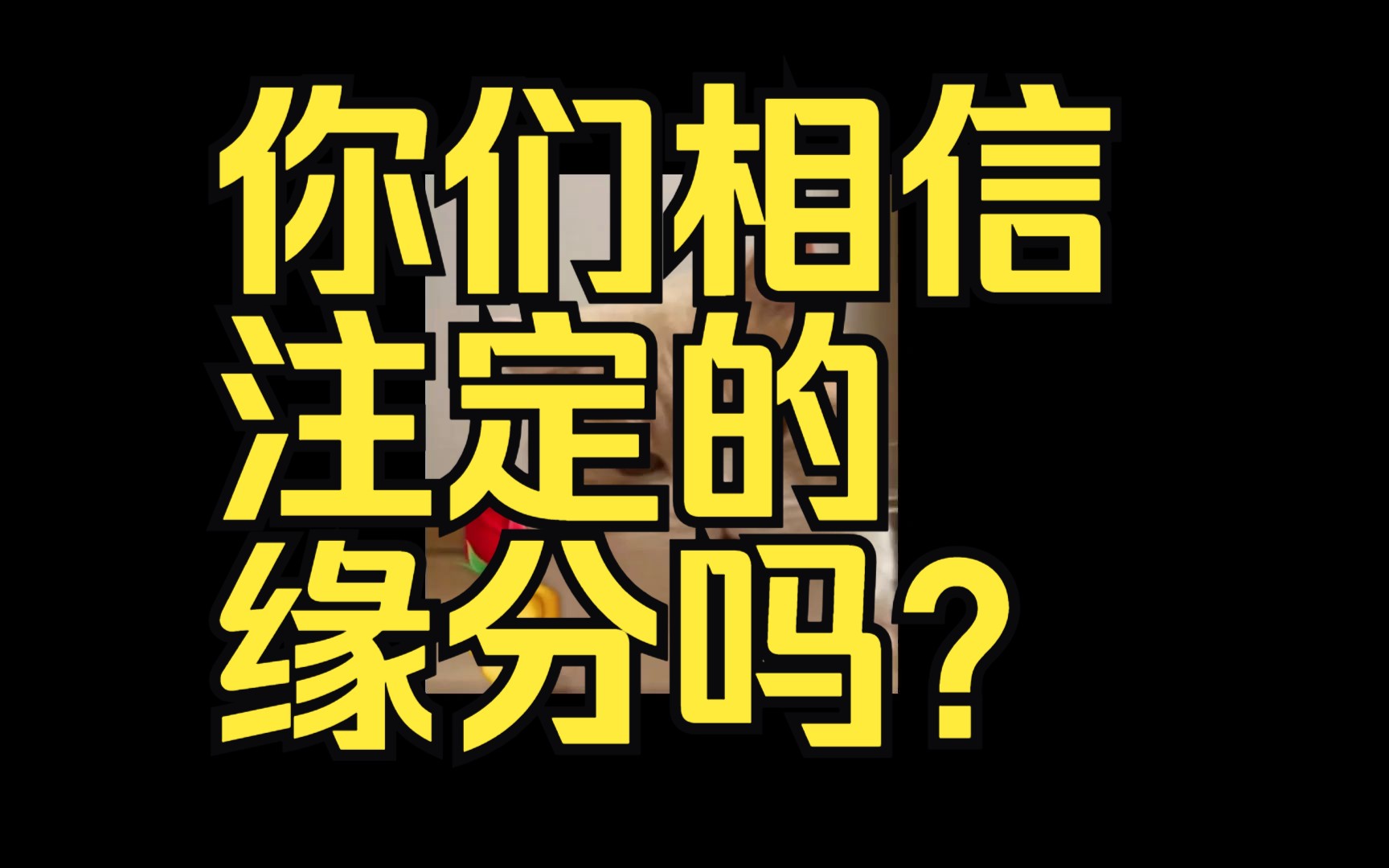 [图]今日话题：你们相信冥冥中注定的缘分吗？