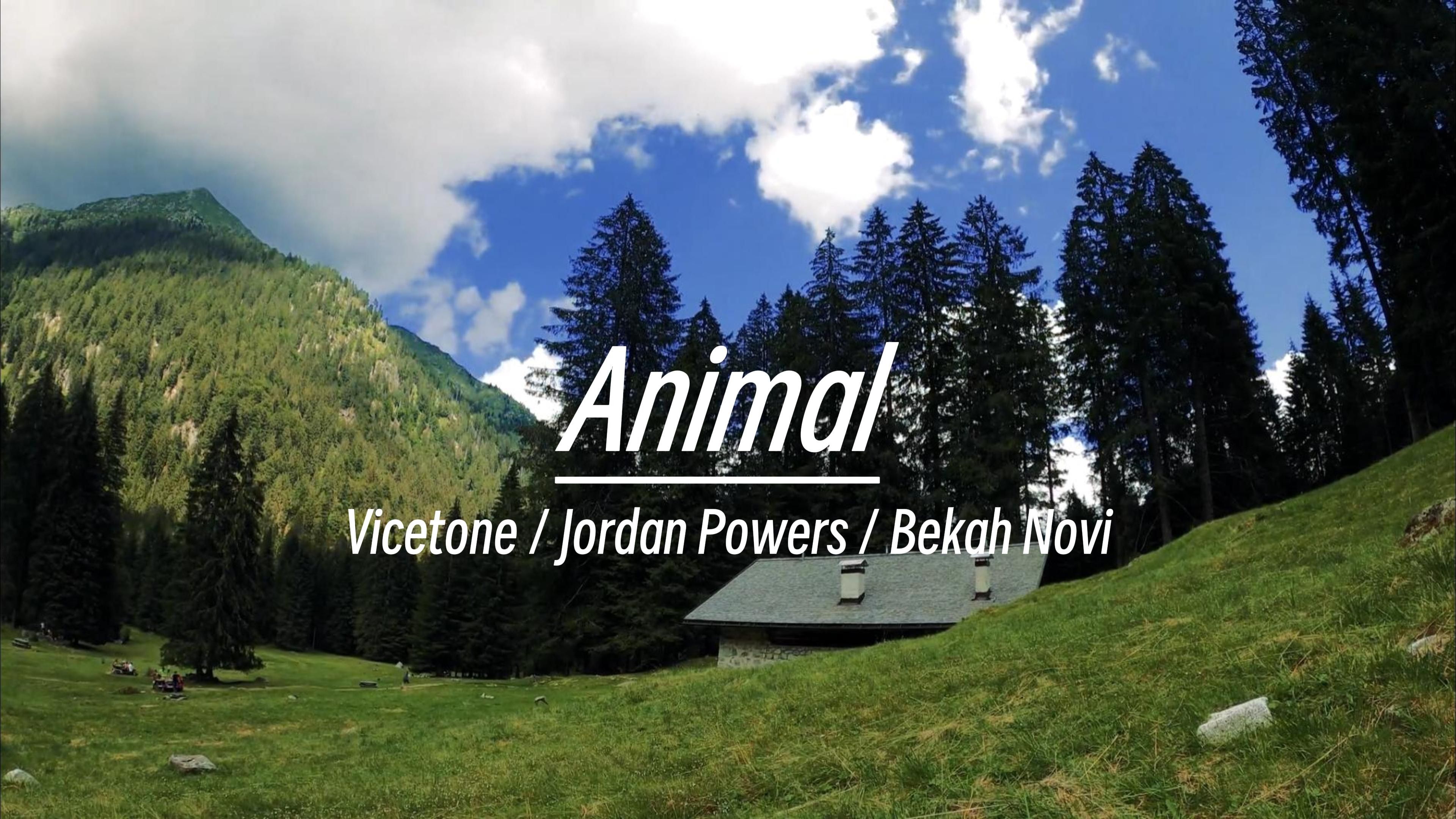 电音丨燃起来! animal