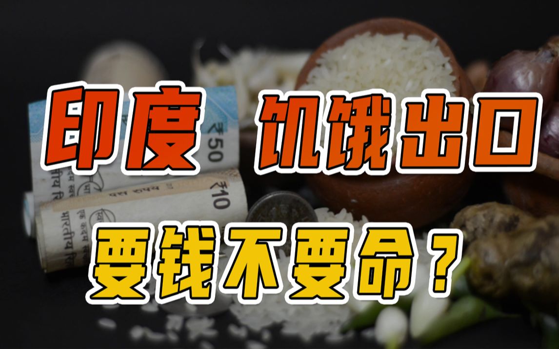 印度要钱不要命?四成人口吃不饱,却是粮食出口大国,＂饥饿出口＂谁受益?哔哩哔哩bilibili