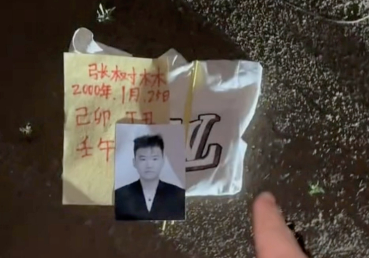 你可能不认识我,但你一定看过我的视频-张树林--张树林--哔哩哔哩视频