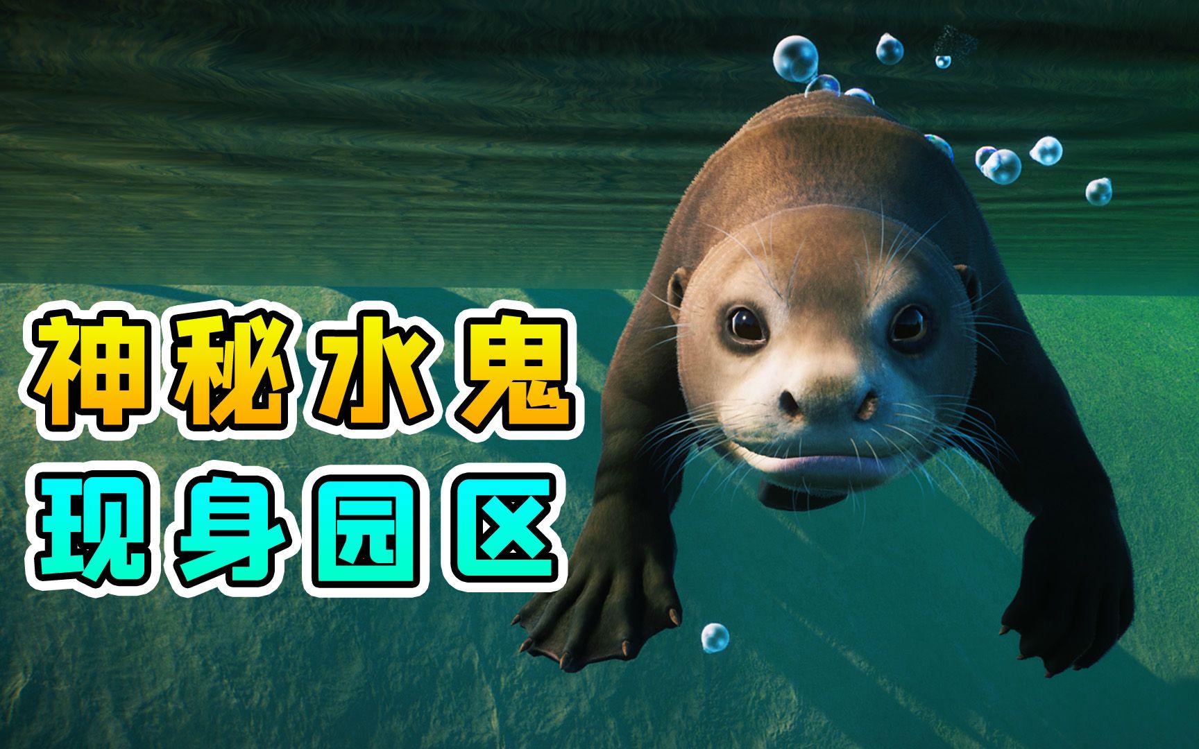 动物园之星58抓住神秘的水鬼经常被人误会这次公开观赏