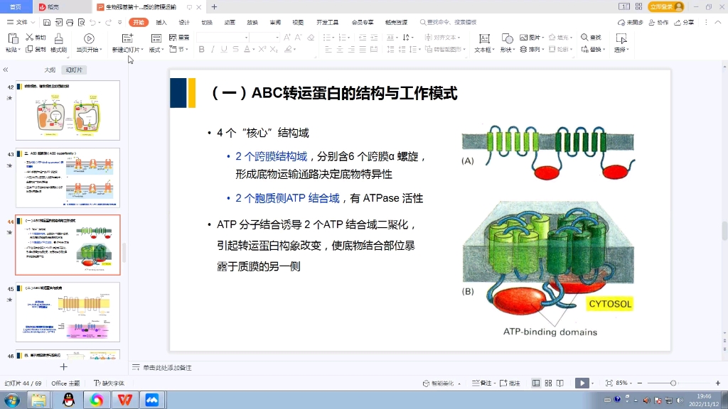 生物强基动作电位,胞吞与细胞质基质哔哩哔哩bilibili