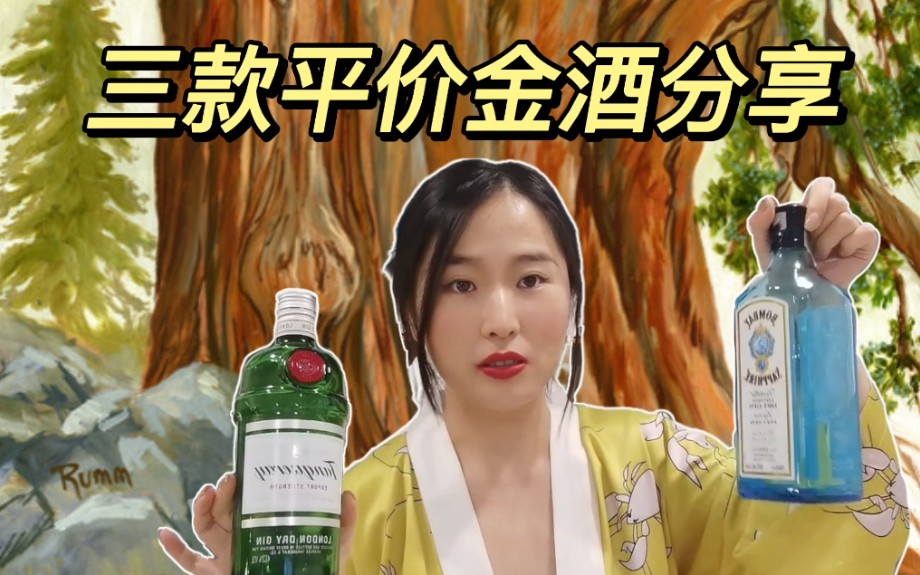 Gin |3款适合调酒的平价金酒推荐哔哩哔哩bilibili