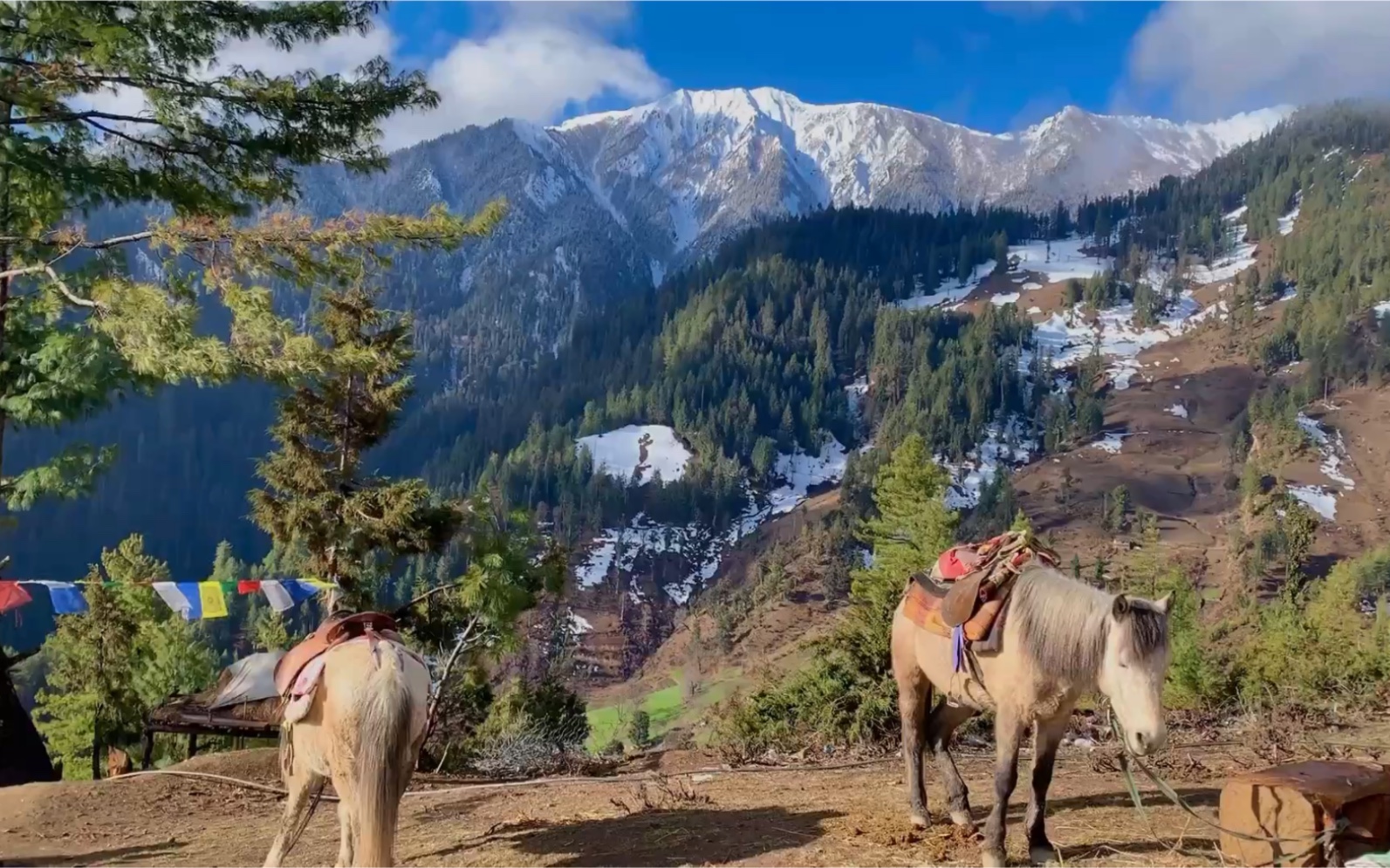 尼泊尔##rara lake# 雪山森林湖泊和马儿,这是不是你想见到的尼泊