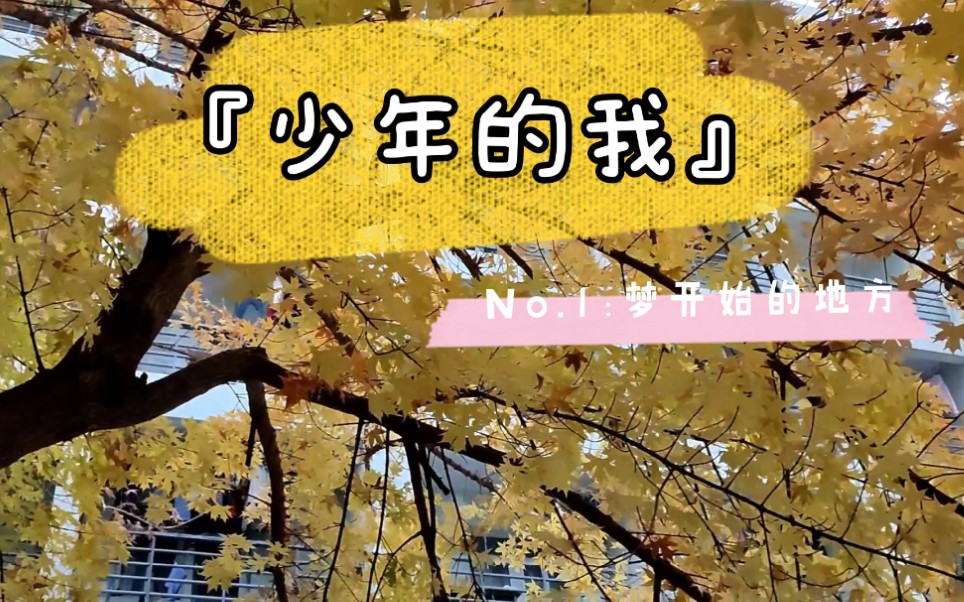 少年的我也能梦见最初回家的路