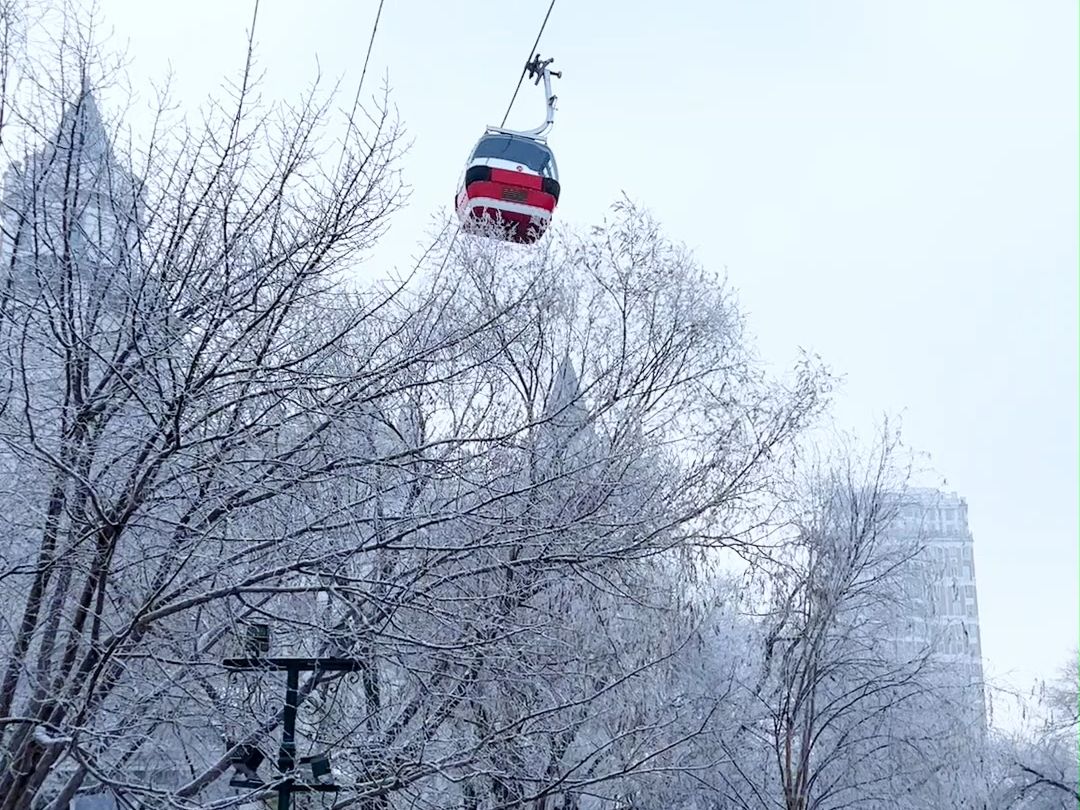 冬季冰雪旅游百日行动 | 哈尔滨又宠粉了,本地人难得一见的雾凇给南方宝宝安排上!网友:“哈尔滨的天气都是'讨好型'天气~”哔哩哔哩bilibili