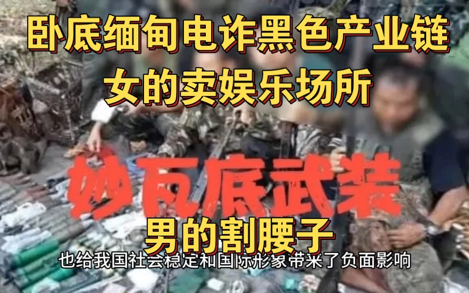 卧底缅甸电诈黑色产业链:男的割腰子,女的卖娱乐场所
