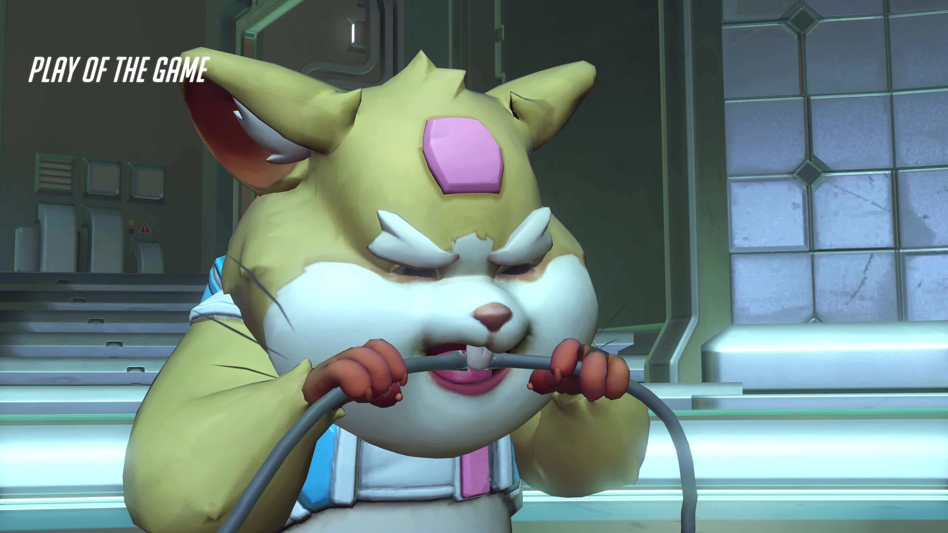 活动  守望先锋哈蒙德放完大什么不做就四杀了2333