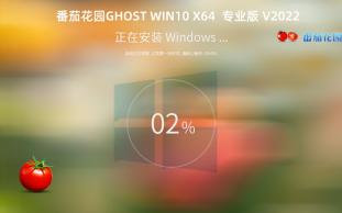 番茄花园Win10还有游戏定制版?不仅捆绑软件多,版本还是20H2版本哔哩哔哩bilibili