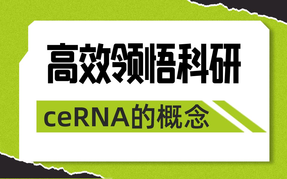 ceRNA的概念和研究套路哔哩哔哩bilibili