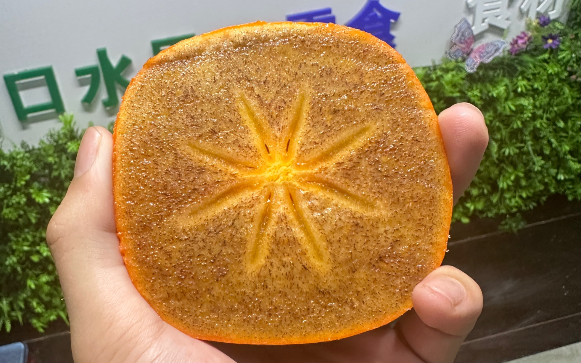 和歌山.黑甘柿,世界上最贵的柿子!