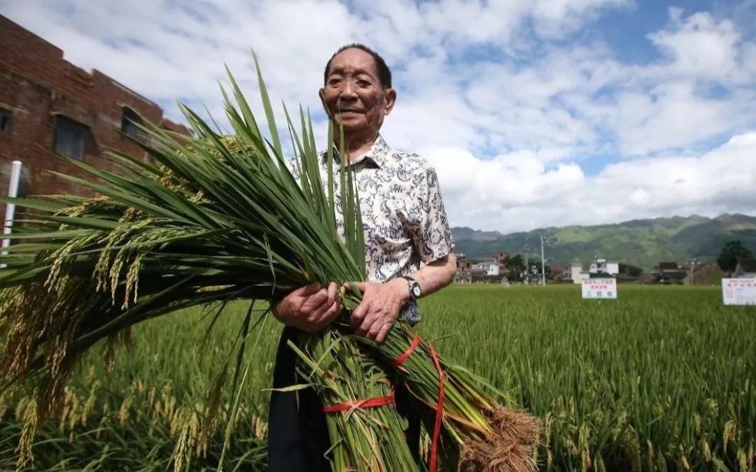 根据袁隆平院士丧事从简遗愿,殡仪馆不安排接待群众悼念哔哩哔哩bilibili