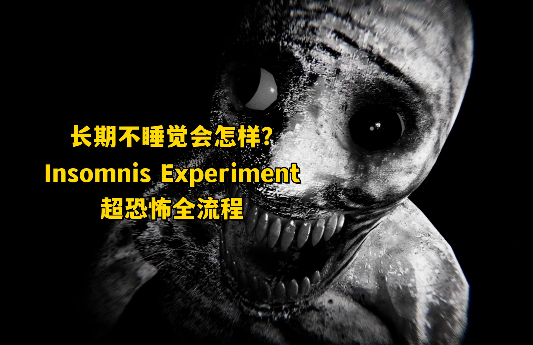 [图]短篇恐怖游戏 Insomnis Experiment 失眠实验 中文字幕 全流程