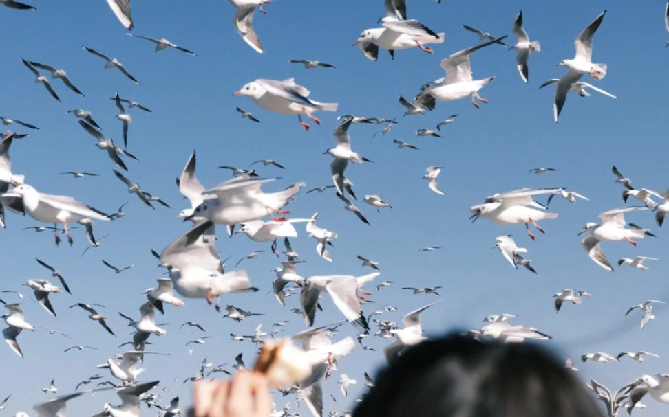 [图][工程走带]“if I just breathe,I never leave”