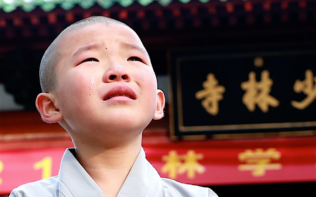 [图]问一问佛，谁来渡我，化做佛前莲花一朵。