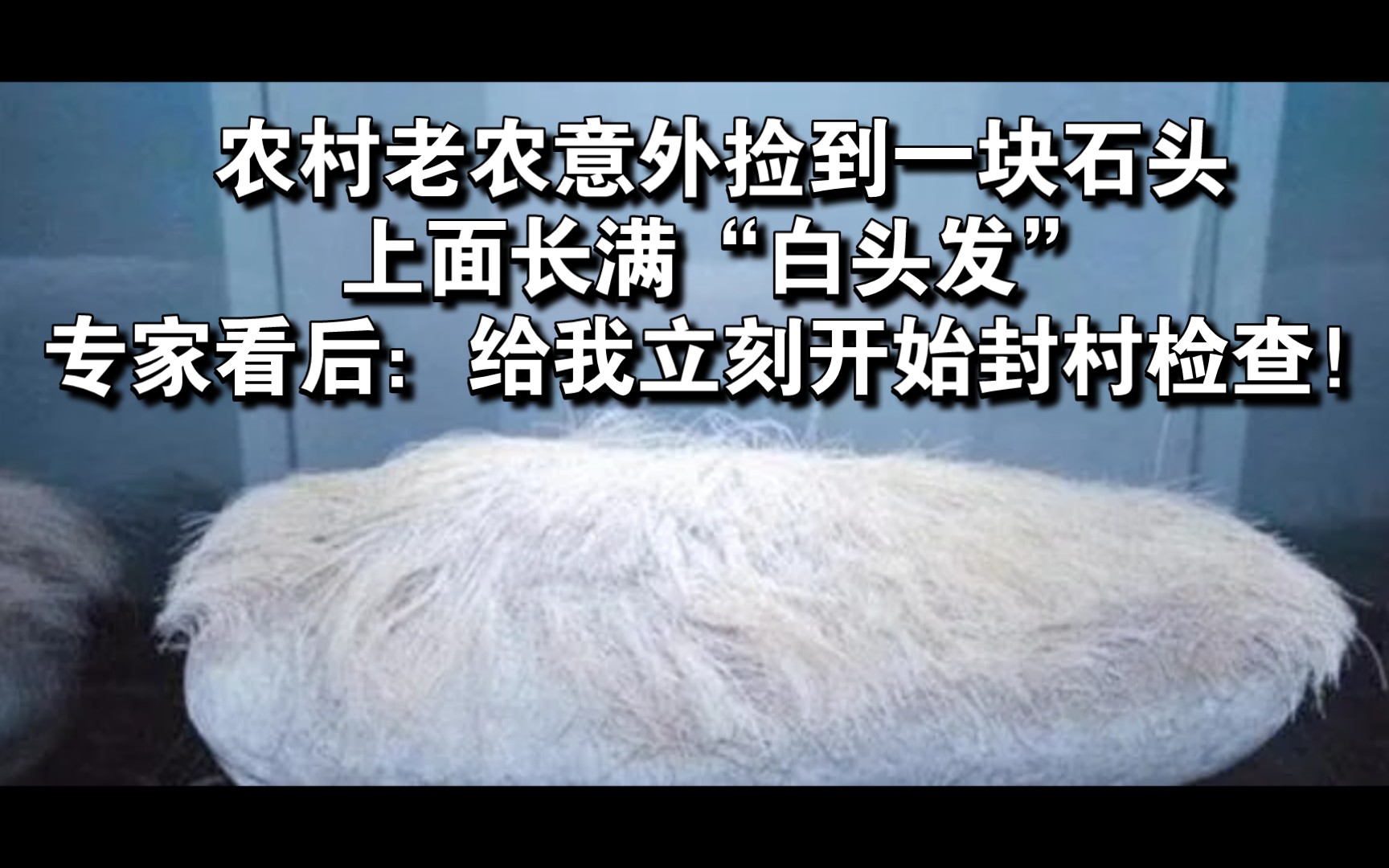 农村老农意外捡到一块石头,上面长满“白头发”,专家看后:给我立即开始封村检查!哔哩哔哩bilibili