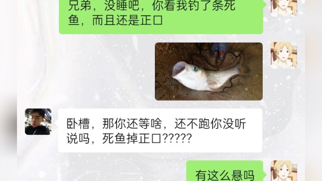 死鱼掉正口怎么了?有什么讲究吗哔哩哔哩bilibili