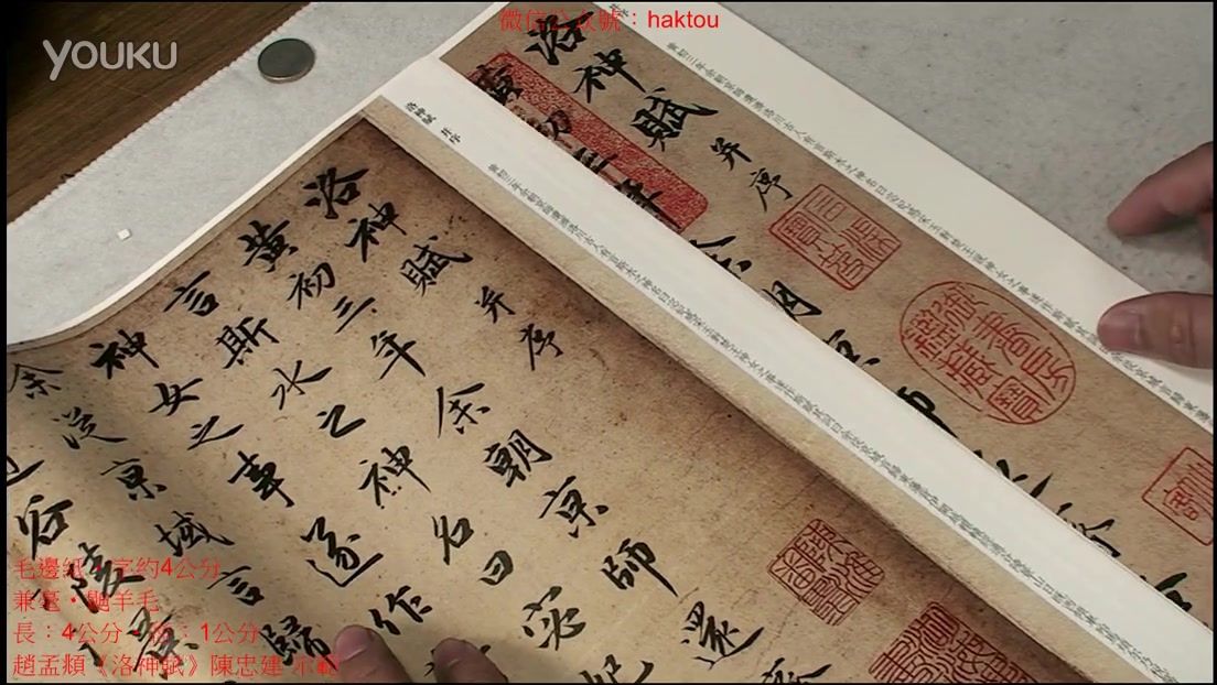 陈忠建书法学堂赵孟頫行书洛神赋