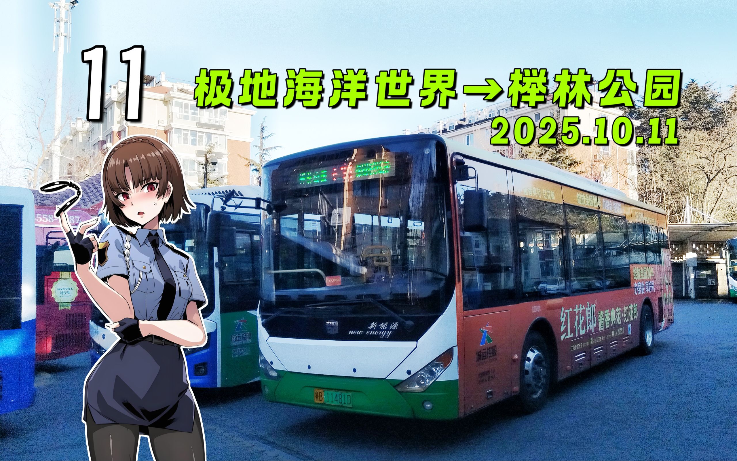 【青岛公交pov·新岛真报站】11路 极地海洋世界→榉林