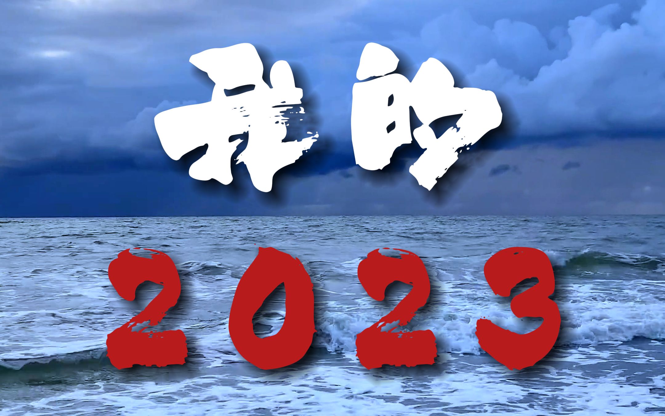 我想去看海《我的2023》哔哩哔哩bilibili