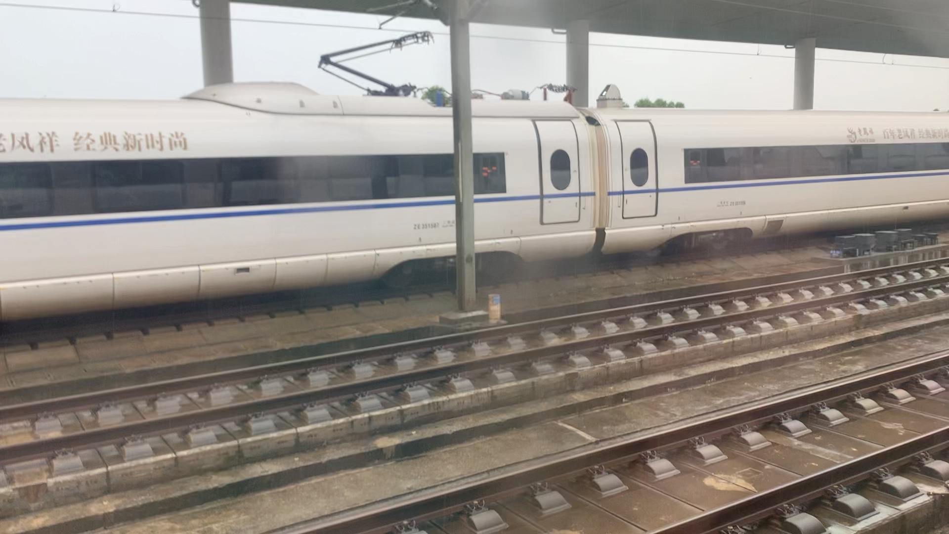 g7537次(上海虹桥站-苍南站)本务上海动车段crh380bl3511嘉善南站进站