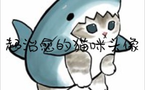 超治愈的猫咪头像哔哩哔哩bilibili