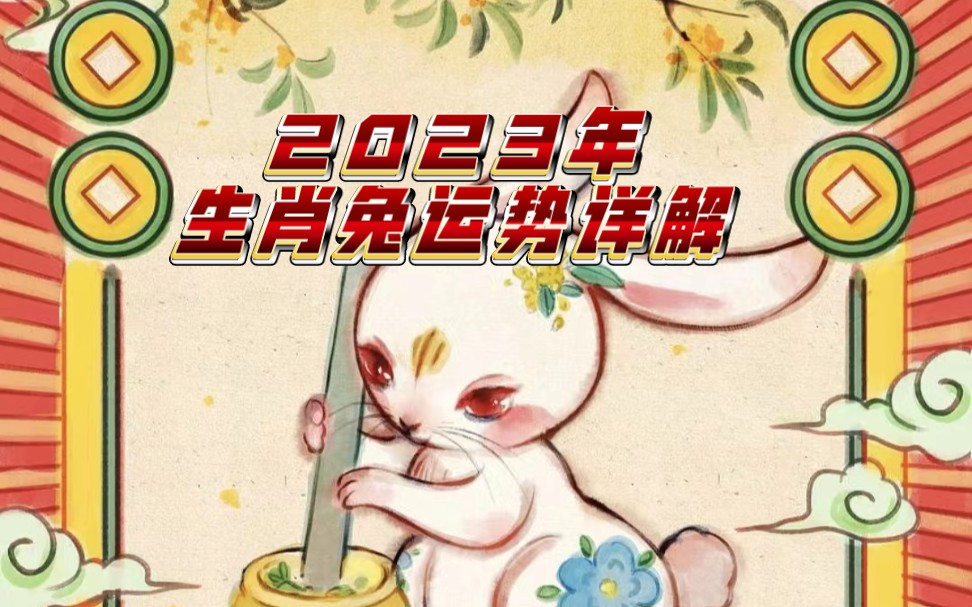 2023年生肖兔运势详解哔哩哔哩bilibili