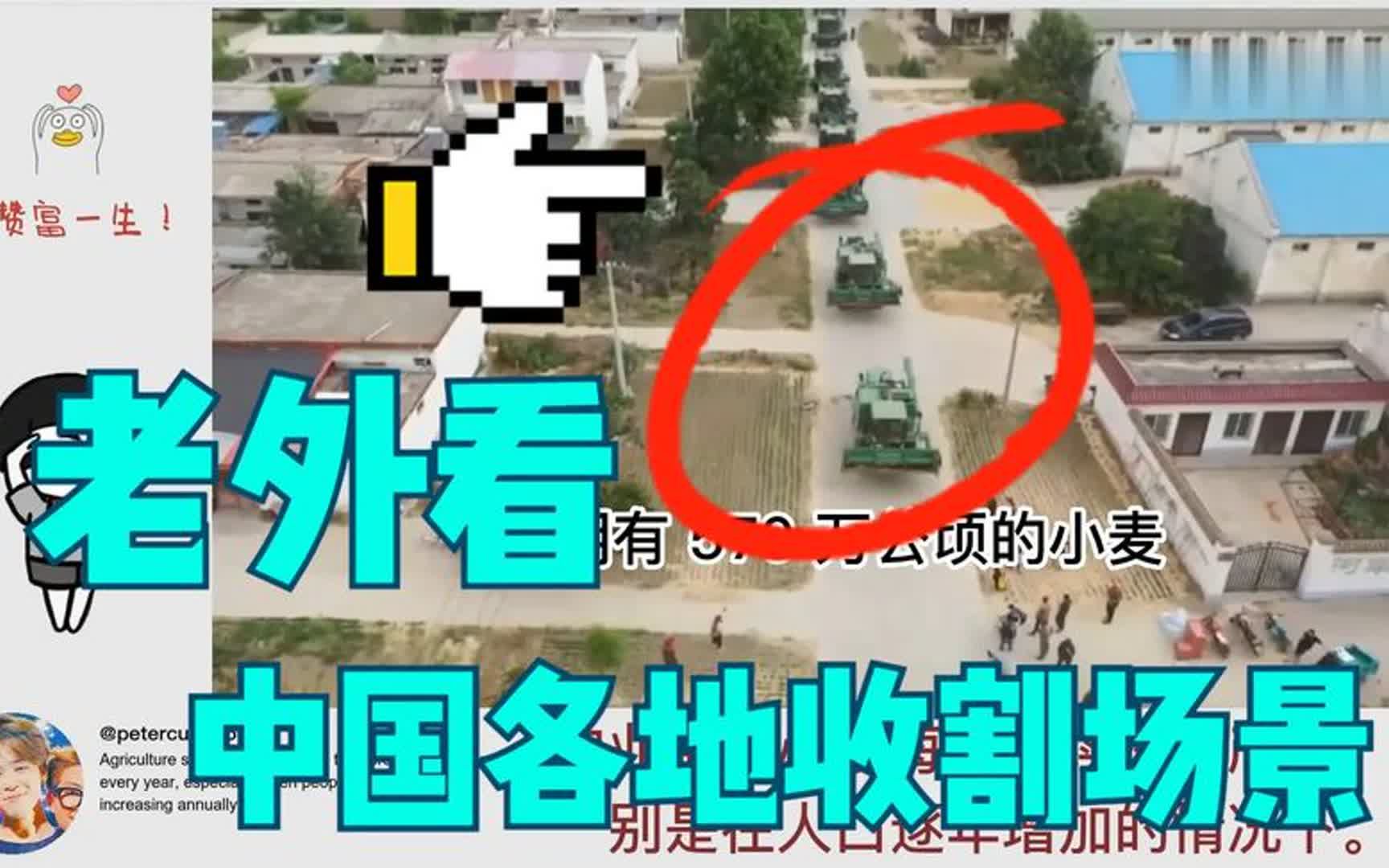 老外盘点看中国各地的农忙丰收场景 热议:不愧为一个农业大国哔哩哔哩bilibili