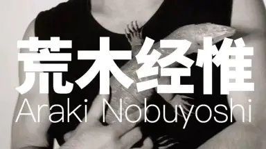 荒木経惟Nobuyoshi Araki-哔哩哔哩_Bilibili