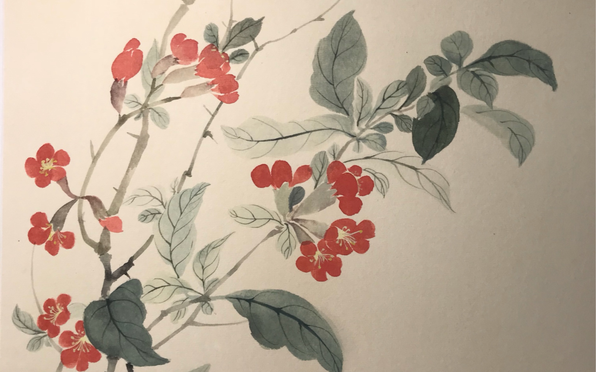 国画# 没骨画花卉学习,调整画面