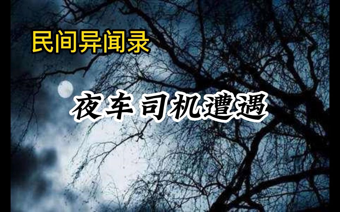 [图]夜车司机遭遇.mp4