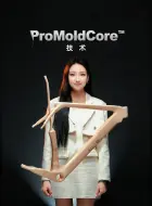 Download Video: YOELEO ProMoldCore技术解密 高端碳纤维自行车生产工艺