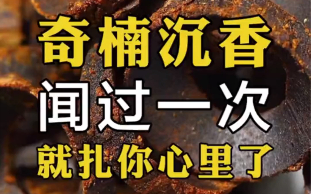 没有人不喜欢奇楠沉香的味道,此款越南芽庄白棋楠沉香手串,性价比很高!九分沉,男女士都可以佩戴哔哩哔哩bilibili