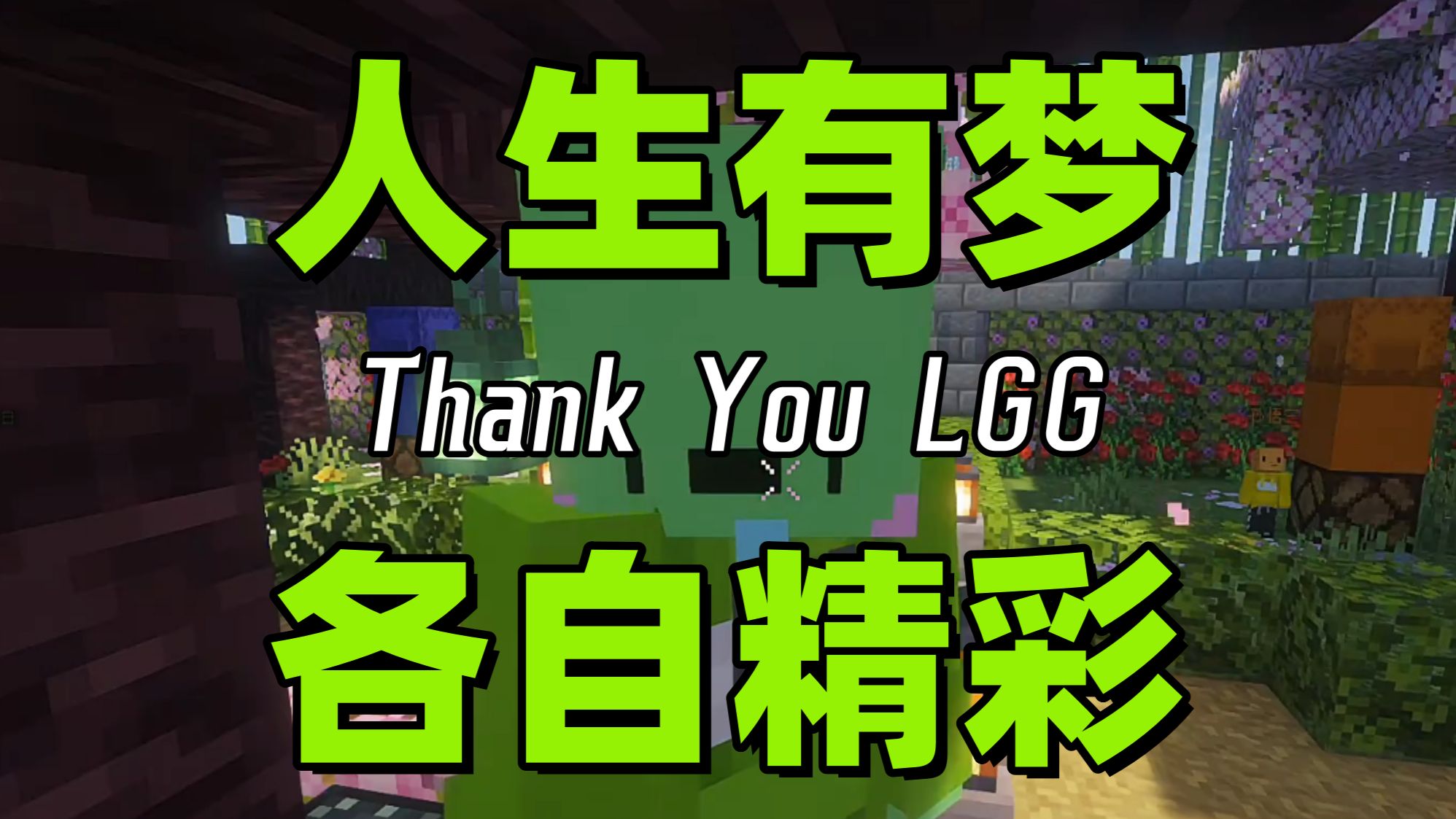 【夏天y】人生有梦各自精彩 Thank You LGG
