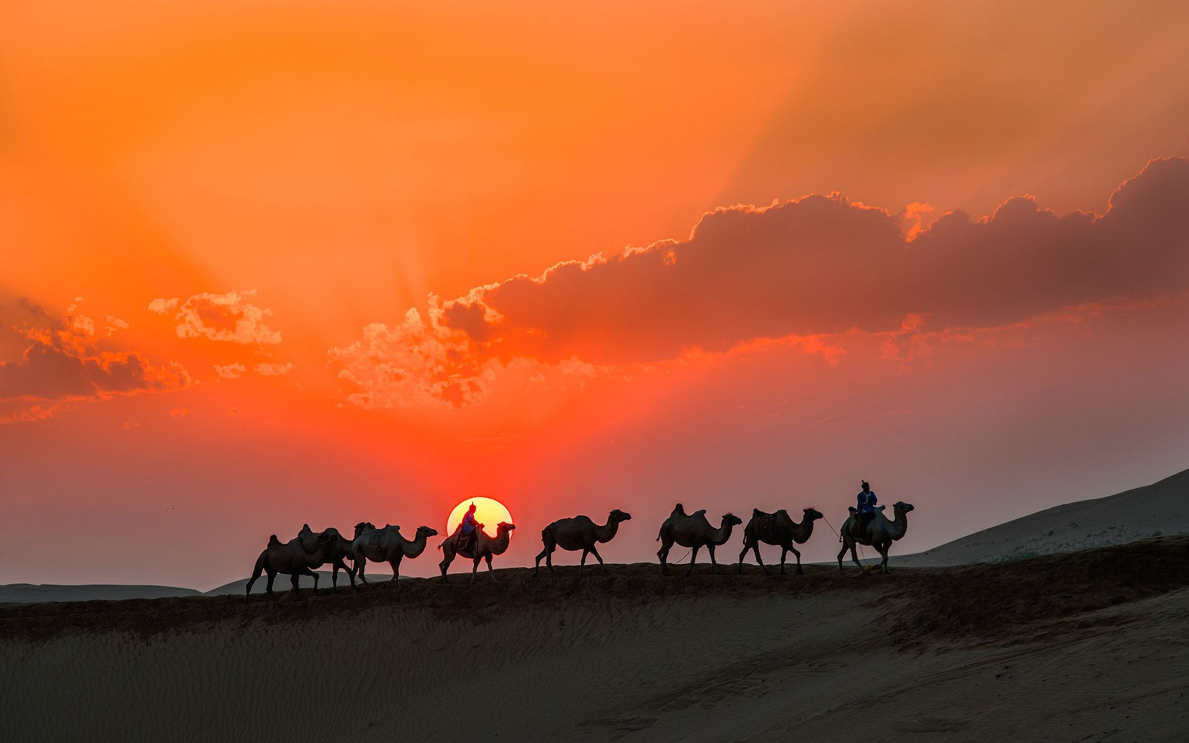 小提琴《天边的骆驼》音乐诗画,美到极致!